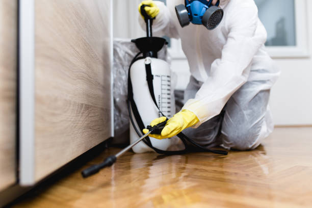 Best Local Pest Control Services  in Pardeeville, WI