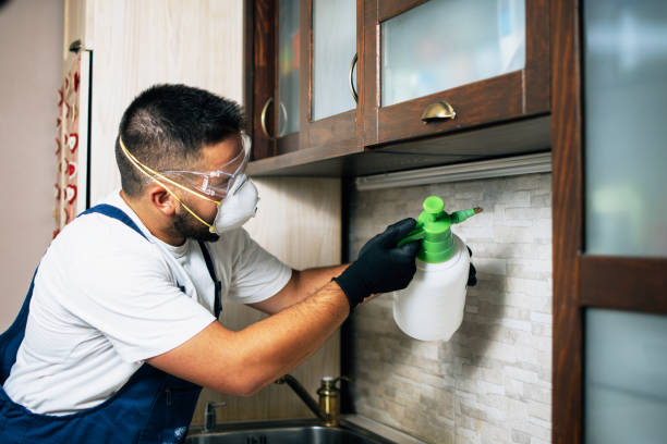 Best Bed Bug Extermination  in Pardeeville, WI