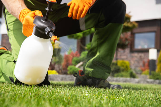Best Affordable Pest Control Services  in Pardeeville, WI