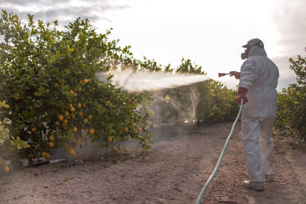Best Best Pest Control Companies  in Pardeeville, WI