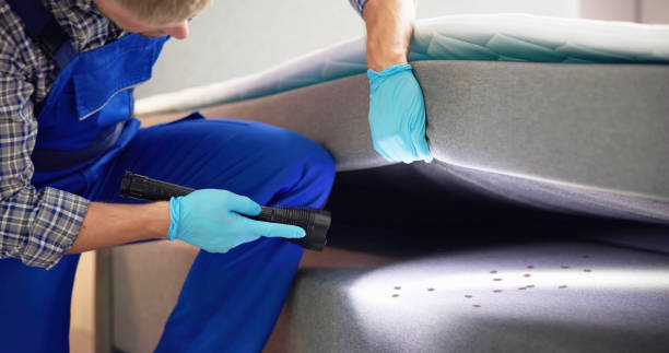 Best Ant Control Services  in Pardeeville, WI