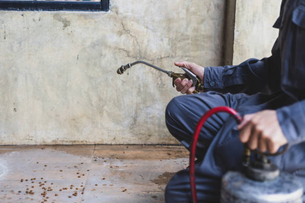 Best Pest Control Near Me  in Pardeeville, WI